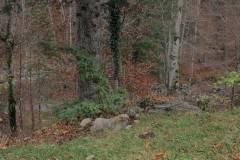 k-img_6675